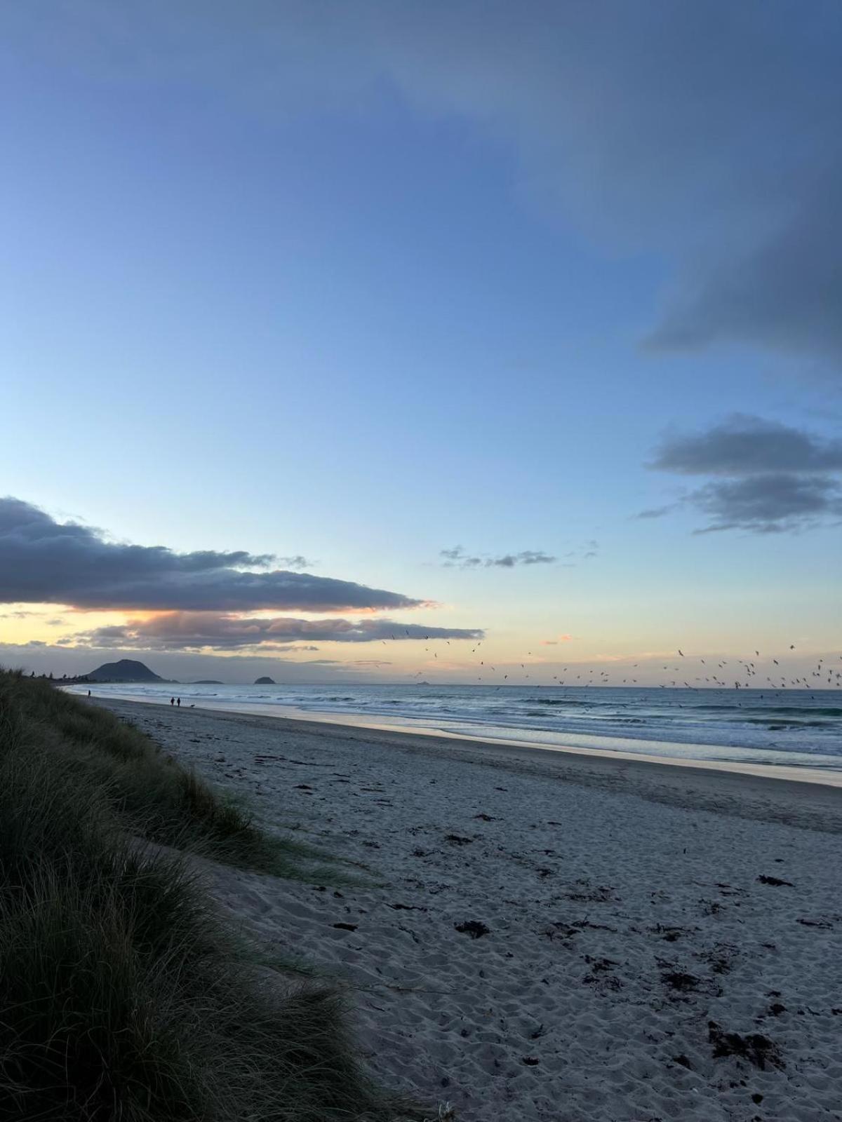 Papamoa Beach, Pohutukawa Deluxe Studio, On Hugoway ภายนอก รูปภาพ
